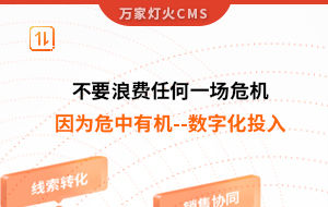 不要浪費任何一場危機，因為危中有機--數字化投入